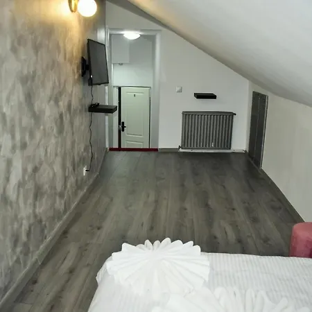 Pensiunea Ober 3*