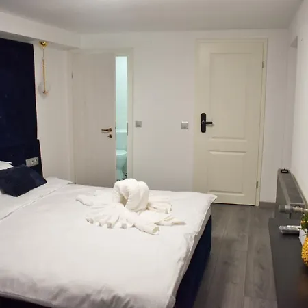 Gæstehus Pensiunea Ober 3*