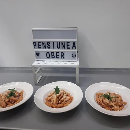 招待所 Pensiunea Ober *