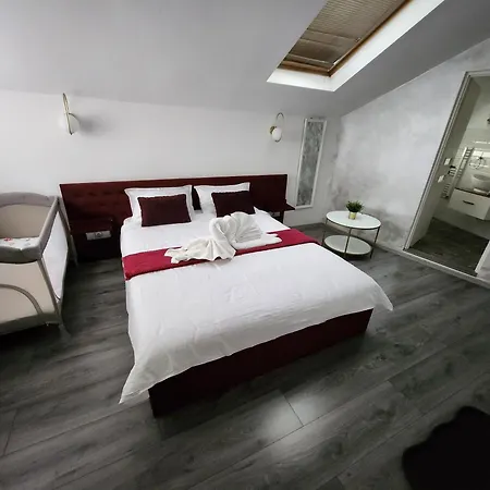 Гостьовий будинок Pensiunea Ober