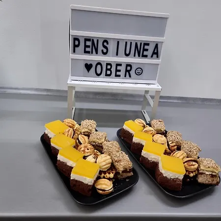 Pensiunea Ober 3*