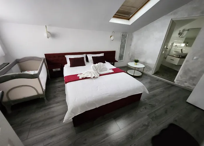 Guest house Pensiunea Ober